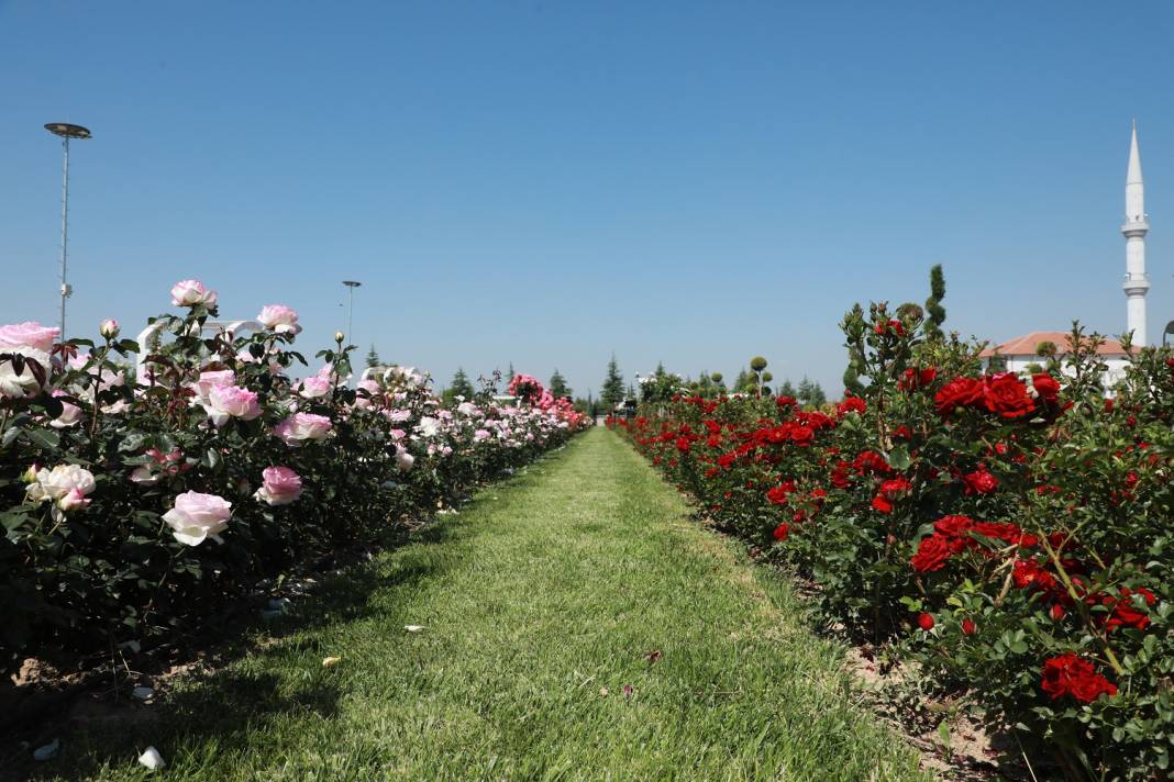 Doğanın en güzel tonları Karatay’da! Her detayıyla hayran bırakıyor 20
